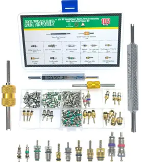 Bihyngair 976579300145 102pcs Car Air Conditioner Valve Core Assortment Kit Ac