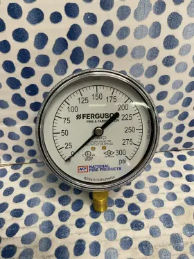 Nfp15010 Ferguson National Fire Products Air And Water Guage
