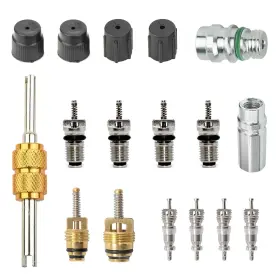 Fer30al Ferianl 17 Pcs Air Conditioning Valve Core Kit R12 R134a Teflon Seal Cap A/c Schrad