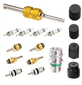 Chiompn3 Leechio 16 Pcs Air Condition Valve Core Kit R134a A/c Ducts Pressure Caps And Servic
