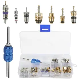 2212fxtj001 Scuari 40pcs Ac Schrader Valve Kit Core Car Accessories R