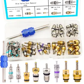 Twtade H-021-r12-r22 60pcs Car Air Conditioner Valve Core Accessories With Remover Tool Assortment