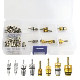 Wmycongcong 755082679704 49 Pcs Air Conditioning Valve Core Kit A/c R12 R134a Refrigeration Tire
