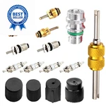 Dyeknee 16 Pcs Car Air Conditioning Valve Core Accessory, R134A R12 Black. Fixed Price $12.99.