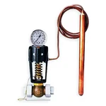 Spence 2010AC-GQD Dir. Acting Temp. Reg., 1/2 In, 250 Psi. Fixed Price $1761.99.