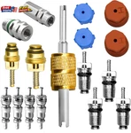 Canipha 17 Pcs Valve Core Kit R12 R134A Conversion With Removal Tool. Fixed Price $17.95.