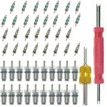 Bihyngair 52PCS Car Conditioner Valve Core Accessories With Kit. Fixed Price $17.99.
